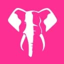 elephant-bet.webp