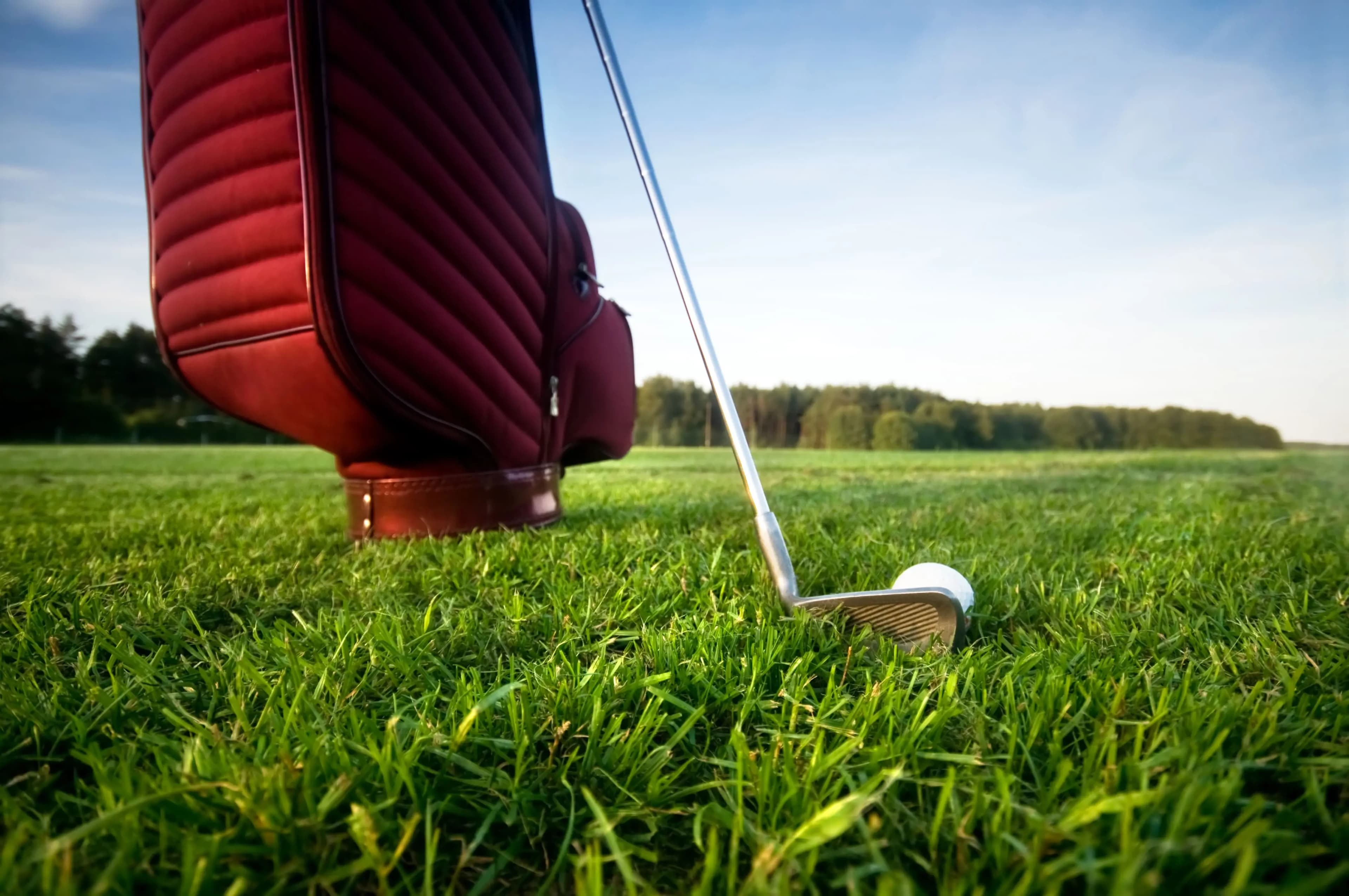 A imagem mostra um taco e uma bola de golfe em um campo.