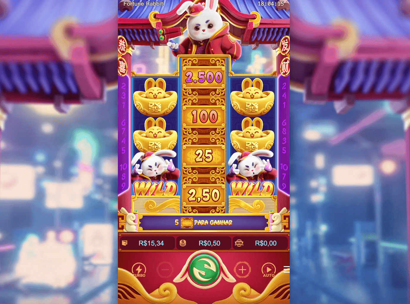 Fortune Rabbit