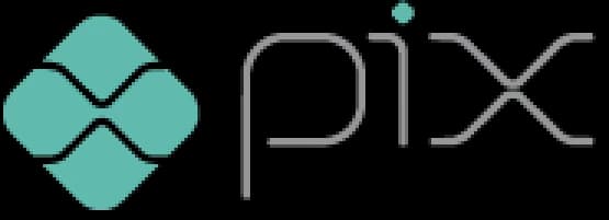 pix logo rectangular.webp