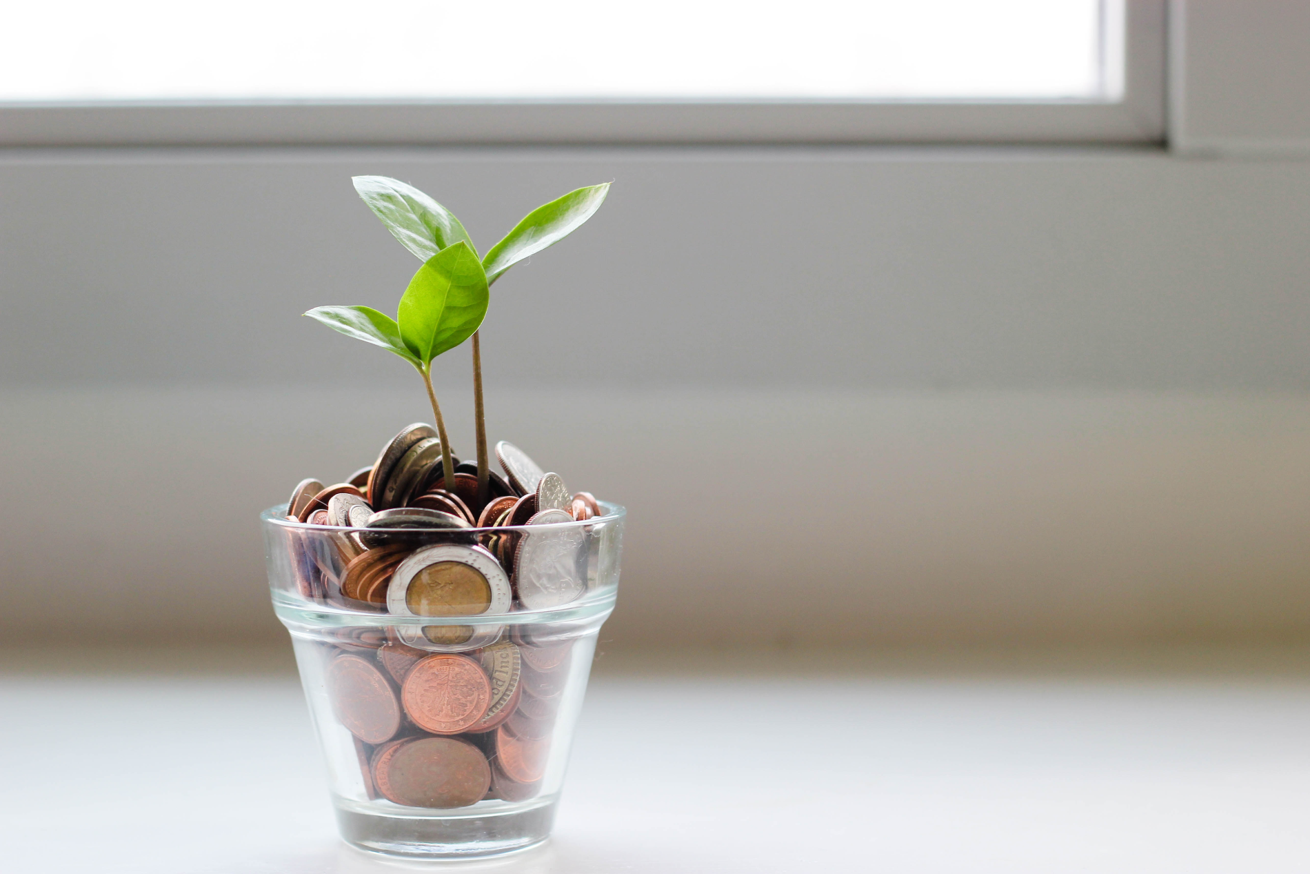 Imagem de um pote com moedas dentro, em cima das moedas um pequeno ramo de folhas cresce, representando "prosperidade". Foto usada para ilustrar o artigo de como ganhar dinheiro com apostas esportivas