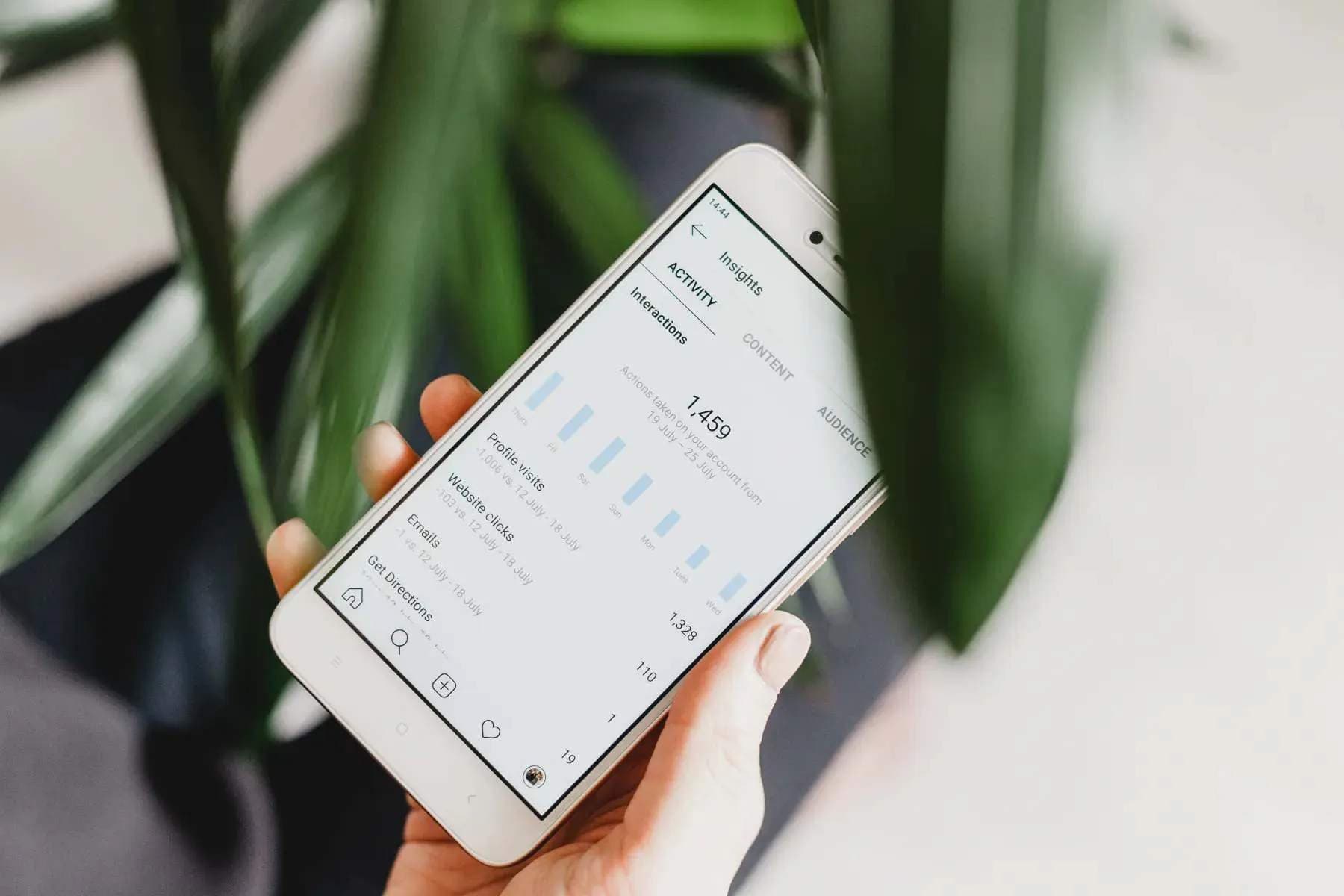 mercado de influencers estatisticas
